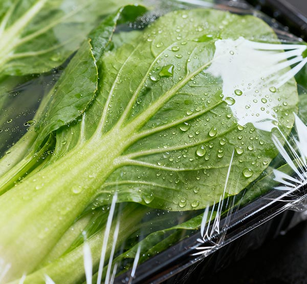Tái chế xanh đang trở thành xu hướng chủ đạo và Phim co nhiệt Donghui đang thúc đẩy sự chuyển đổi ngành bao bì bằng công nghệ thân thiện với môi trường.